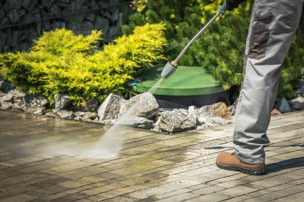 Best Boat and Dock Cleaning  in Eureka, IL