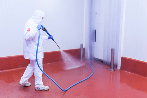 Best Pool Deck Cleaning  in Eureka, IL