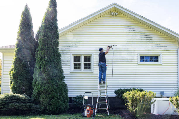 Best Rust Removal  in Eureka, IL